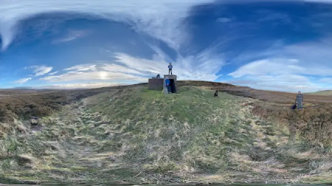 Little Alpaca Company