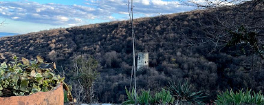 Vejini Monastery