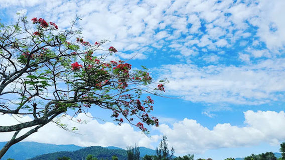 Sri Menanti