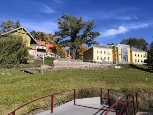 NEONIJA