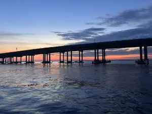 Soundside Cruiser | Destin’s #1 Dolphin Cruise