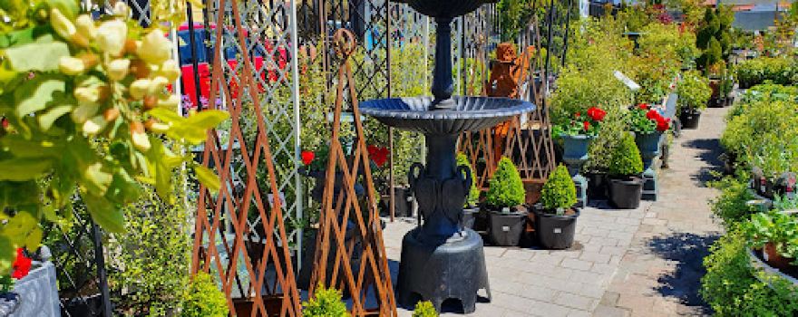 New Town Station Nursery