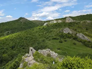Liteni Fortress