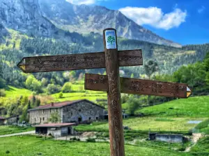 Ruta Verde Atxondo