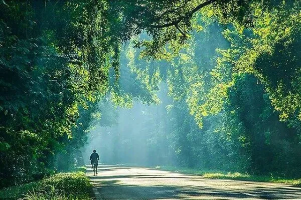2_西峇裡島國家公園