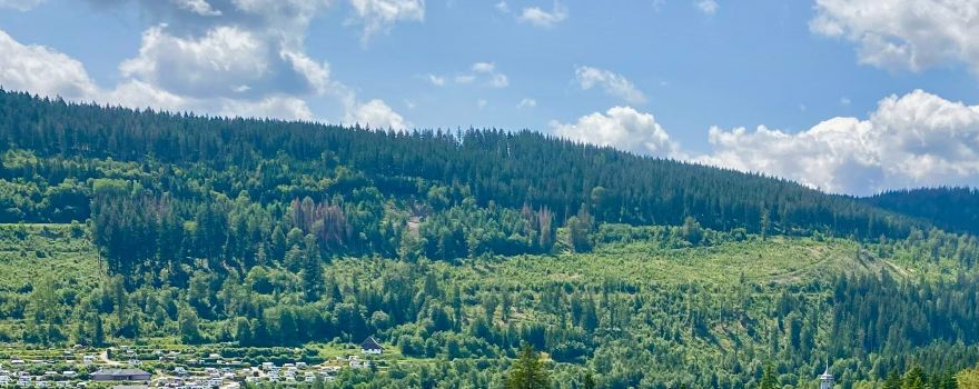 Titisee
