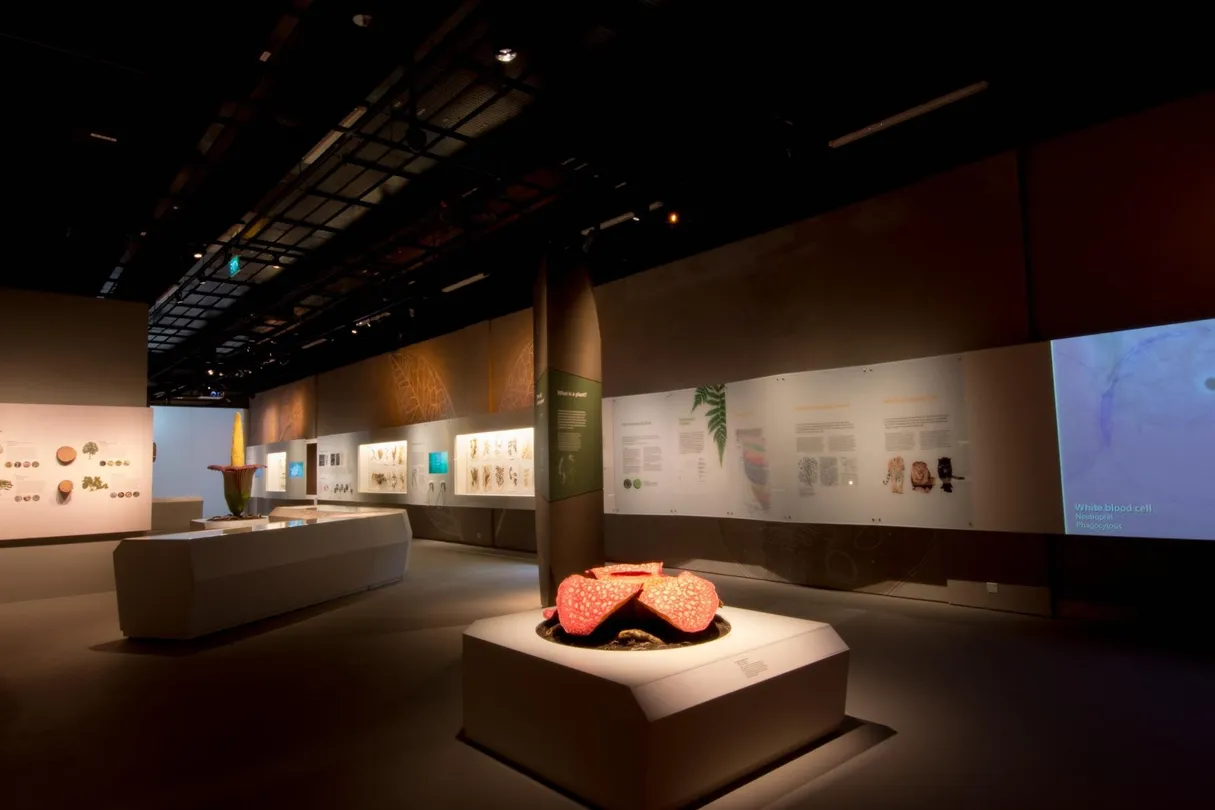 5_李光前自然歷史博物館