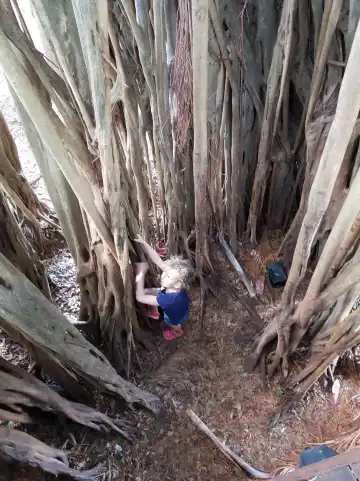 フィグツリー　プレイグランド周辺のホテル