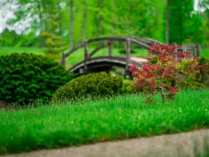 The Dawes Arboretum