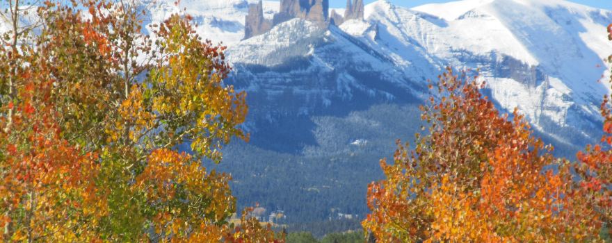 Gunnison National Forest