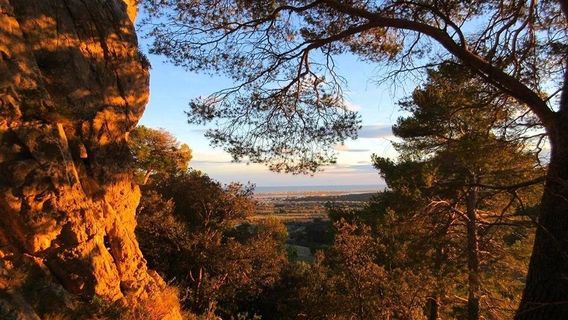 The Haut-Languedoc regional nature Park