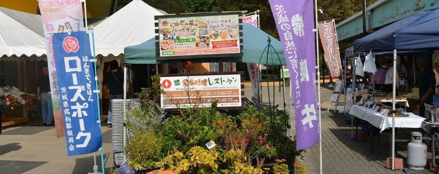 Pocket Farm Dokidoki Ibaraki