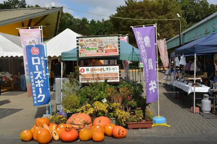 Hotels in IBARAKI