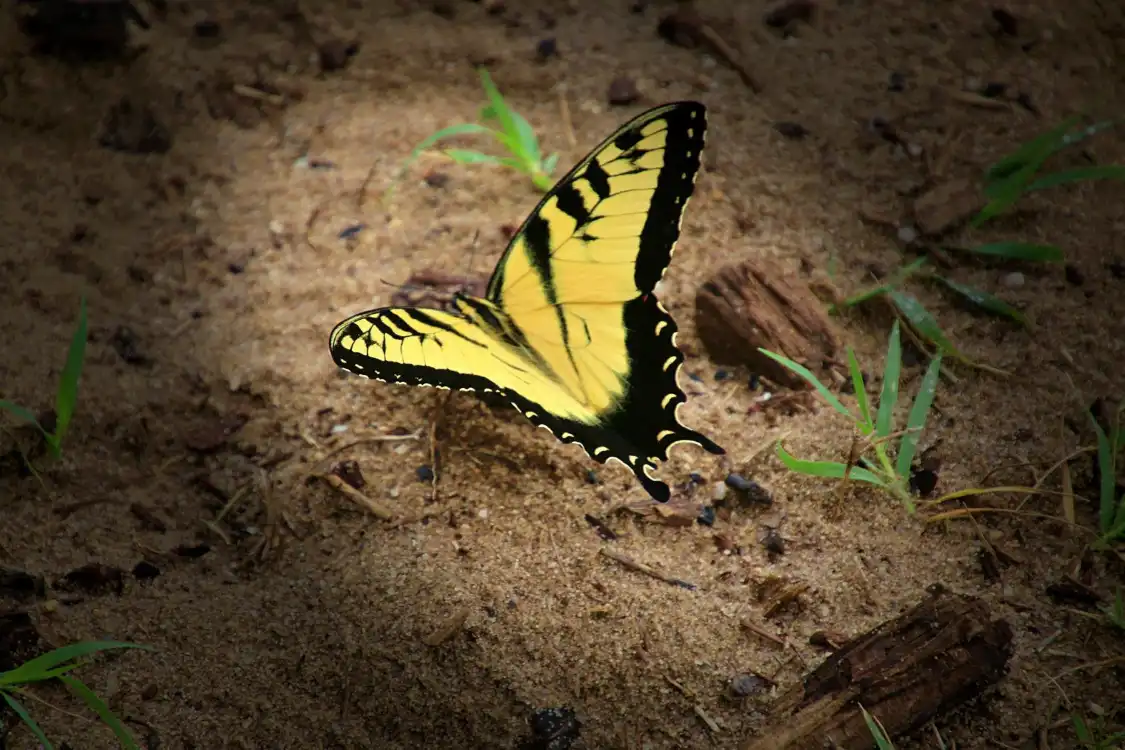 Leesylvania State Park附近的飯店