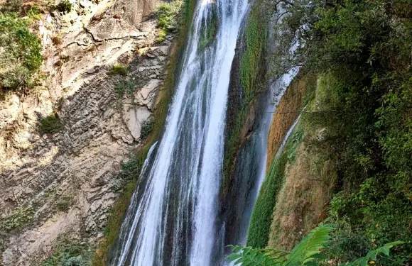 格列高裡別墅公園門票青年