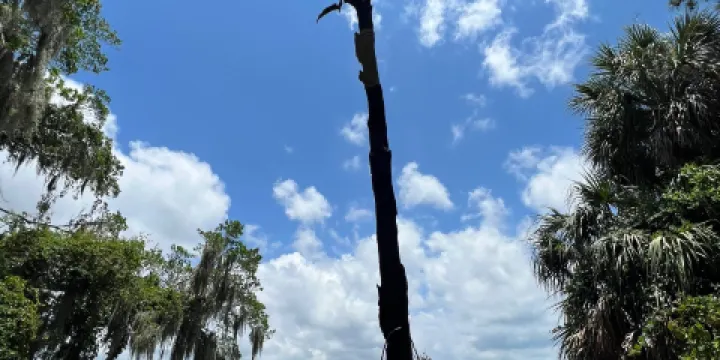 Boyd Hill Nature Preserve