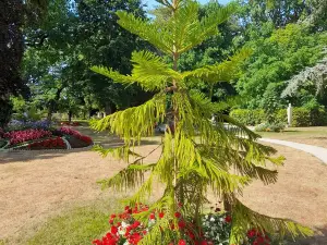 Jardin des Plantes von Coutances