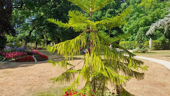 Coutances Botanical Garden