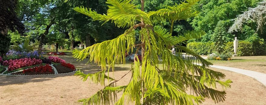 Jardin des Plantes von Coutances