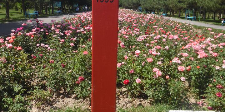 Victory Park