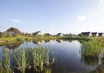 Witteveen
