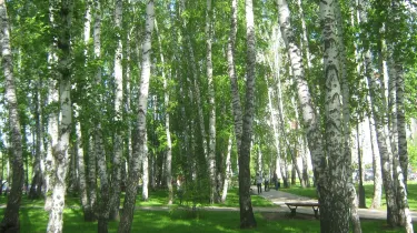 Gorod Tyumen'