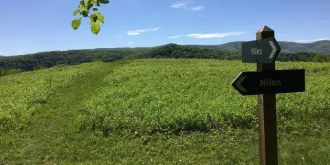 Mountain Meadow Preserve