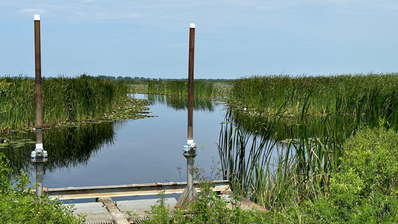 Savannah National Wildlife Refuge