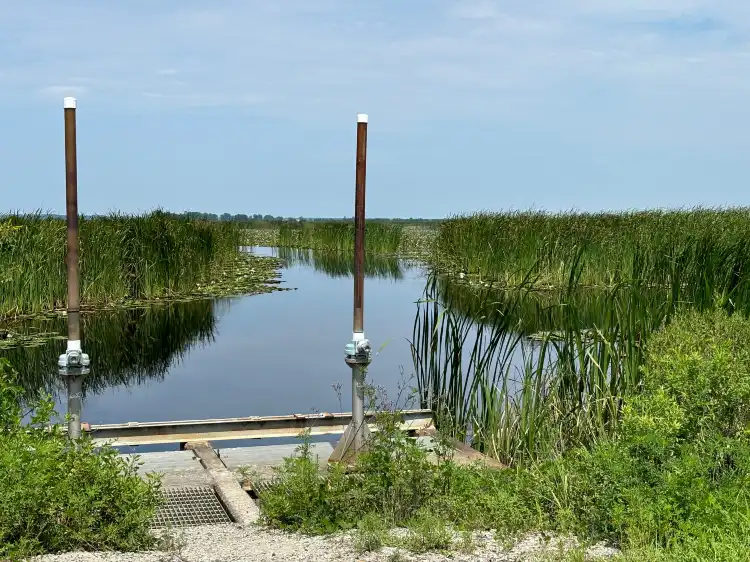 Hotels in Jasper County