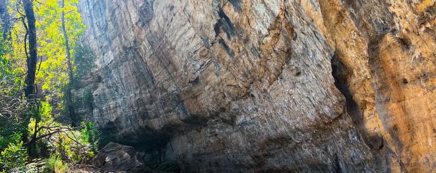 Blackfellows & coloured puppies Hand Cave