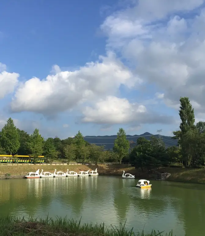 District de Gamo