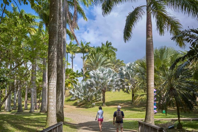 Martinique