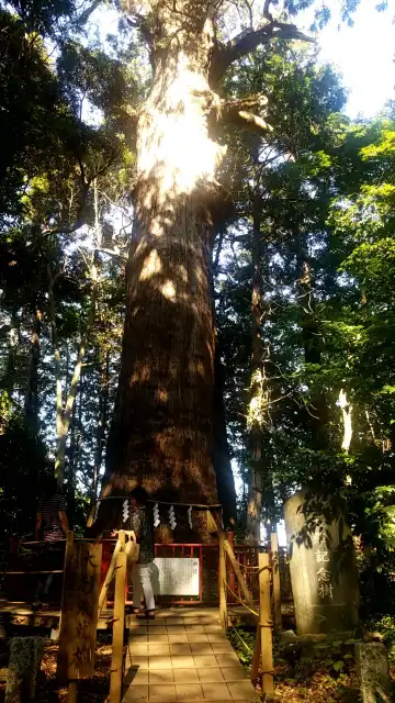Hotel dekat Makata Shrine