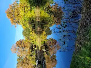Solgårdsparken