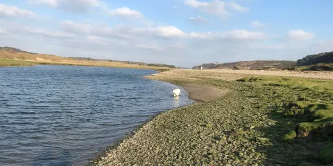 Merthyr Mawr Sand Dunes