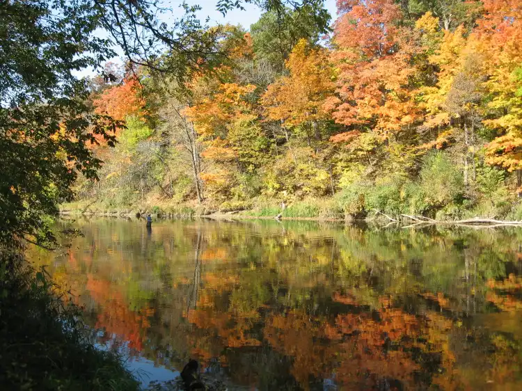 Hotels in Shiawassee County
