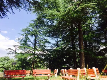 Chail