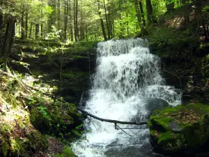Robert V. Riddell State Park