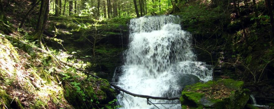 Robert V. Riddell State Park