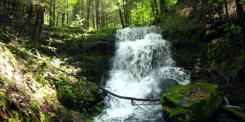 Robert V Riddell State Park