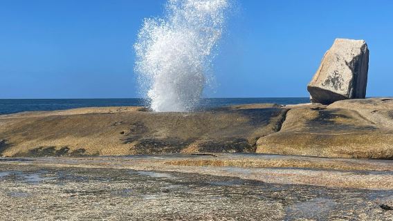 Bicheno Blowhole