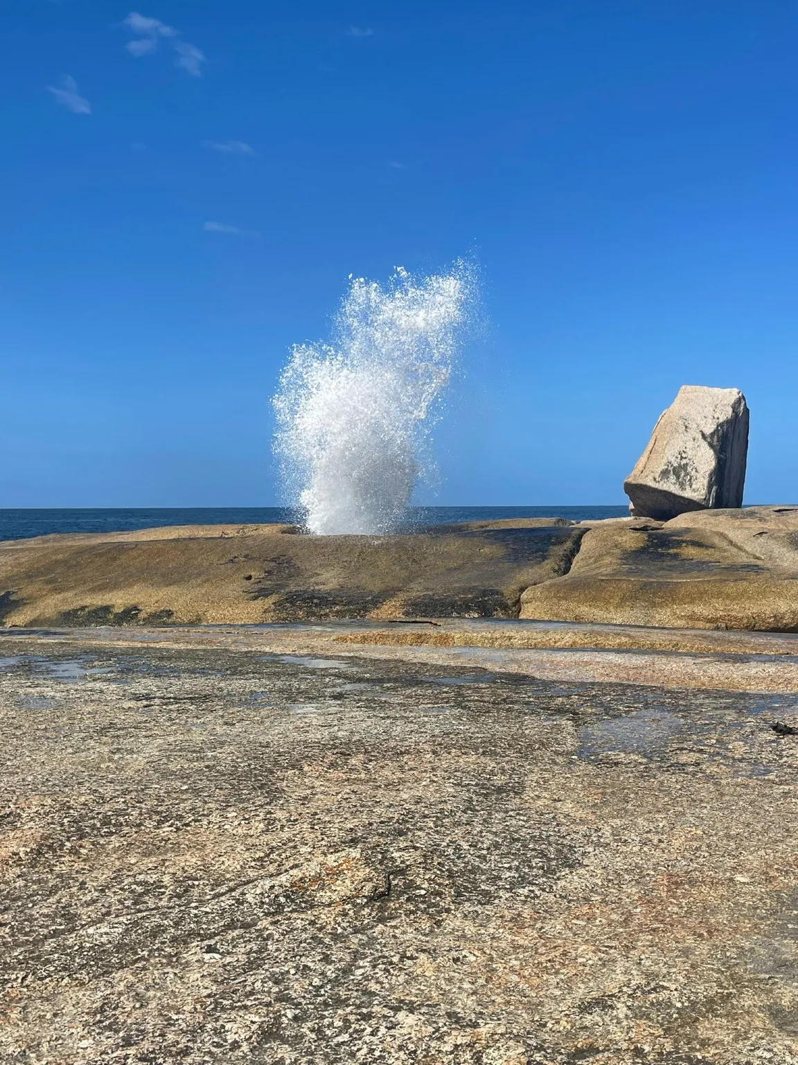 Bicheno Blowhole