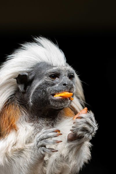 Natureland Zoo