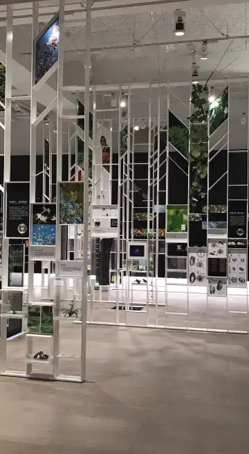 鄰近川崎 宙與綠之科學館的酒店