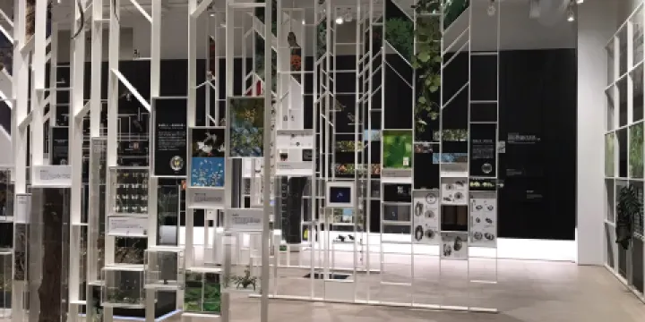 川崎 宙與綠之科學館