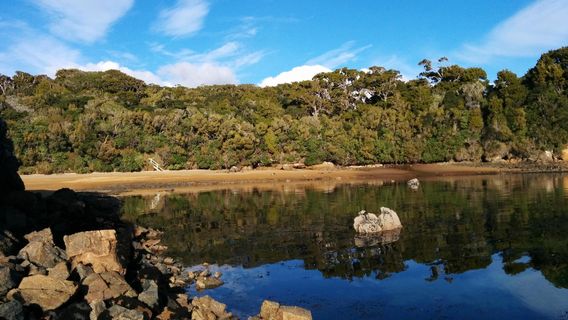 Stewart Island