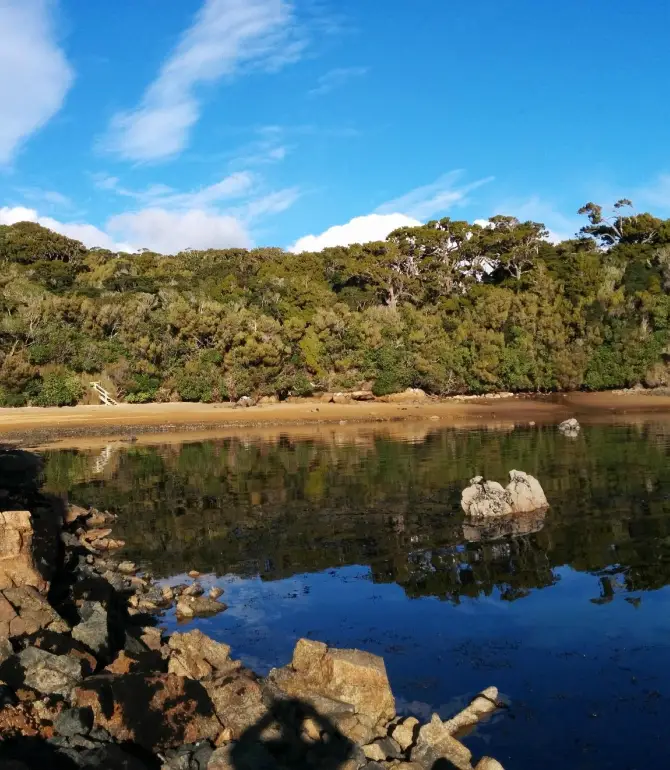 Stewart Island