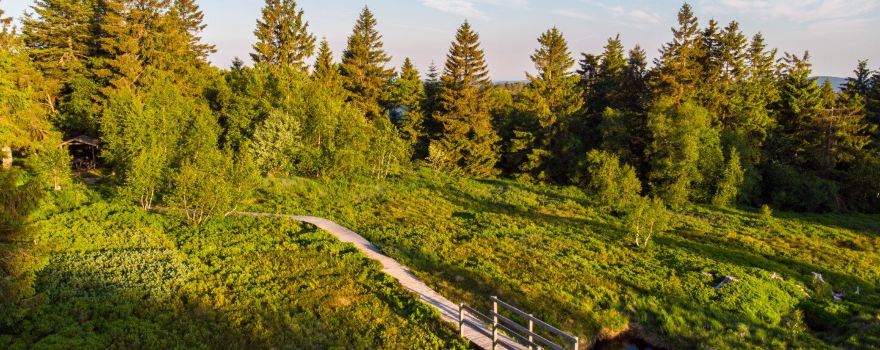Altitude du Haut Chitelet Garden
