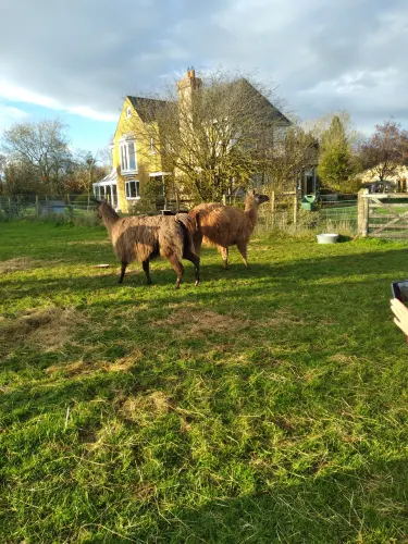 Cowbridge