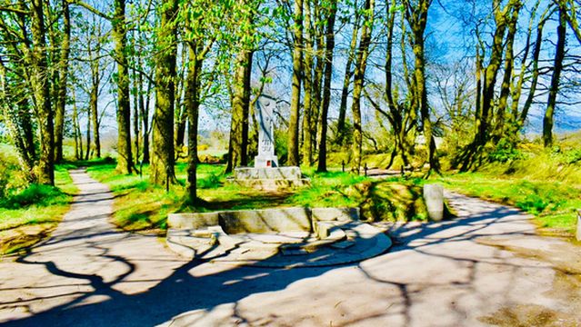 Saint Fanahan’s Well
